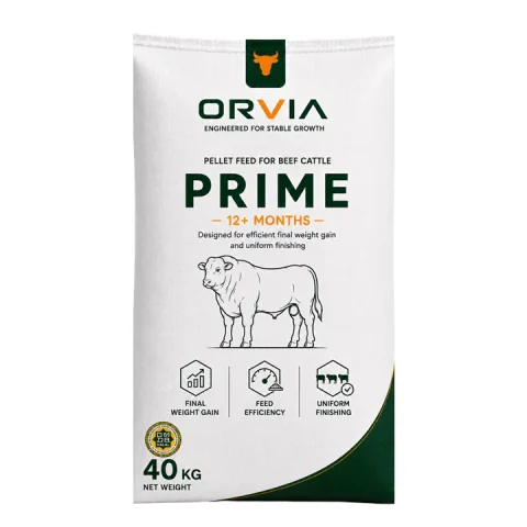 Мешок 40 кг комбикорма ORVIA PRIME для КРС, стадия Финиш