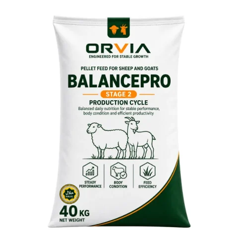 Мешок комбикорма ORVIA для овец и коз Рост, 40 кг